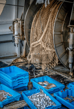 Captura de pantalla 2018-01-31 a las 0.23.03